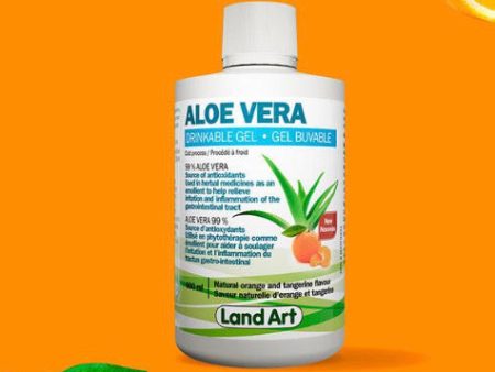 ALOE VERA GEL 500M ORANGE Online Hot Sale