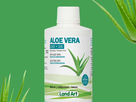 ALOE VERA JUICE 500ML BIO LAND ART For Sale