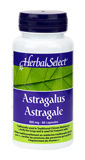 ASTRAGALUS 500MG 60VCAP HERB For Sale