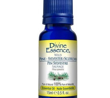 Pine Wild 15 ml (Scotch Sylvester) on Sale