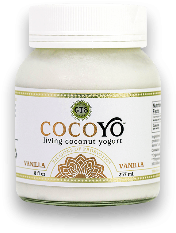 YOGURT 237M LIVING COCOYO VANILLA PROBIOTIC Cheap