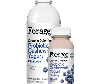 YOGURT 828ML PROBIOTIC DRINK BLUEBERRY FORAGER For Discount