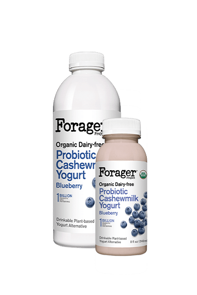 YOGURT 828ML PROBIOTIC DRINK BLUEBERRY FORAGER For Discount