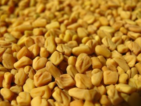 FENUGREC GRAIN 500G CDC For Sale